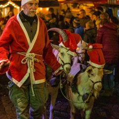 Man sieht einen Mann der als Weihnachtsmann verkleidet ist und auf dem Weihnachtsmarkt 2 große weiße Ziegen mit Zipfelmützen neben sich her führt.