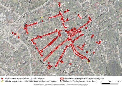 Befallsgebiet niedrige Auflösung