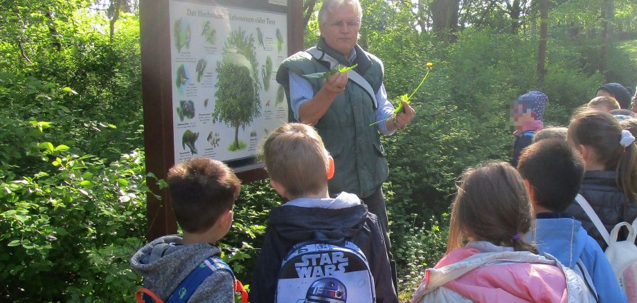 Ein Biologe erläutert Vorschulkindern die im Wald vorkommenden Blätter.