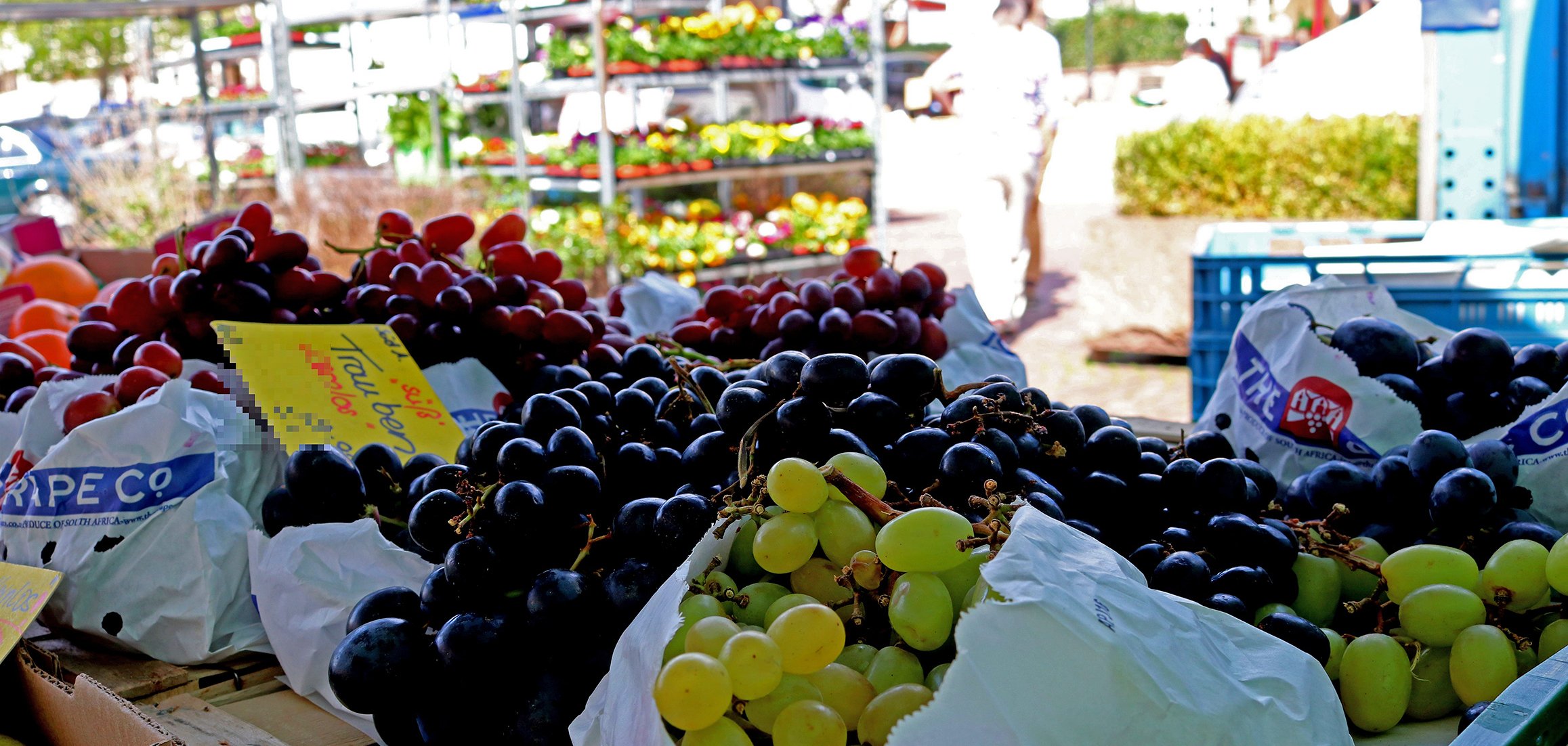 Blick über Trauben bis zu Blumen auf dem Wochenmarktgelände.