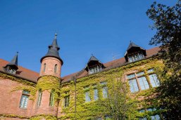 Museum Das Museumsgebäude aus Froschperspektive fotografiert. Das braune Steingebäude ist mit Pflanzenranken bewachsen.