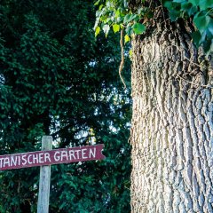 Botanischer Garten