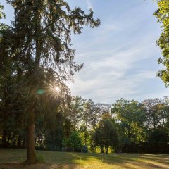 Botanischer Garten