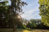Botanischer Garten Botanischer Garten