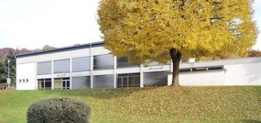 Seitenansicht der Mehrzweckhalle in Haitz mit einem großem Baum im Vordergrund mit gelben Herbstlaub und einem grünen Busch unten links im Bild