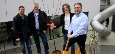 Eröffnung Kita Haitz Baumpflanzaktion zur Eröffnung der Kita.