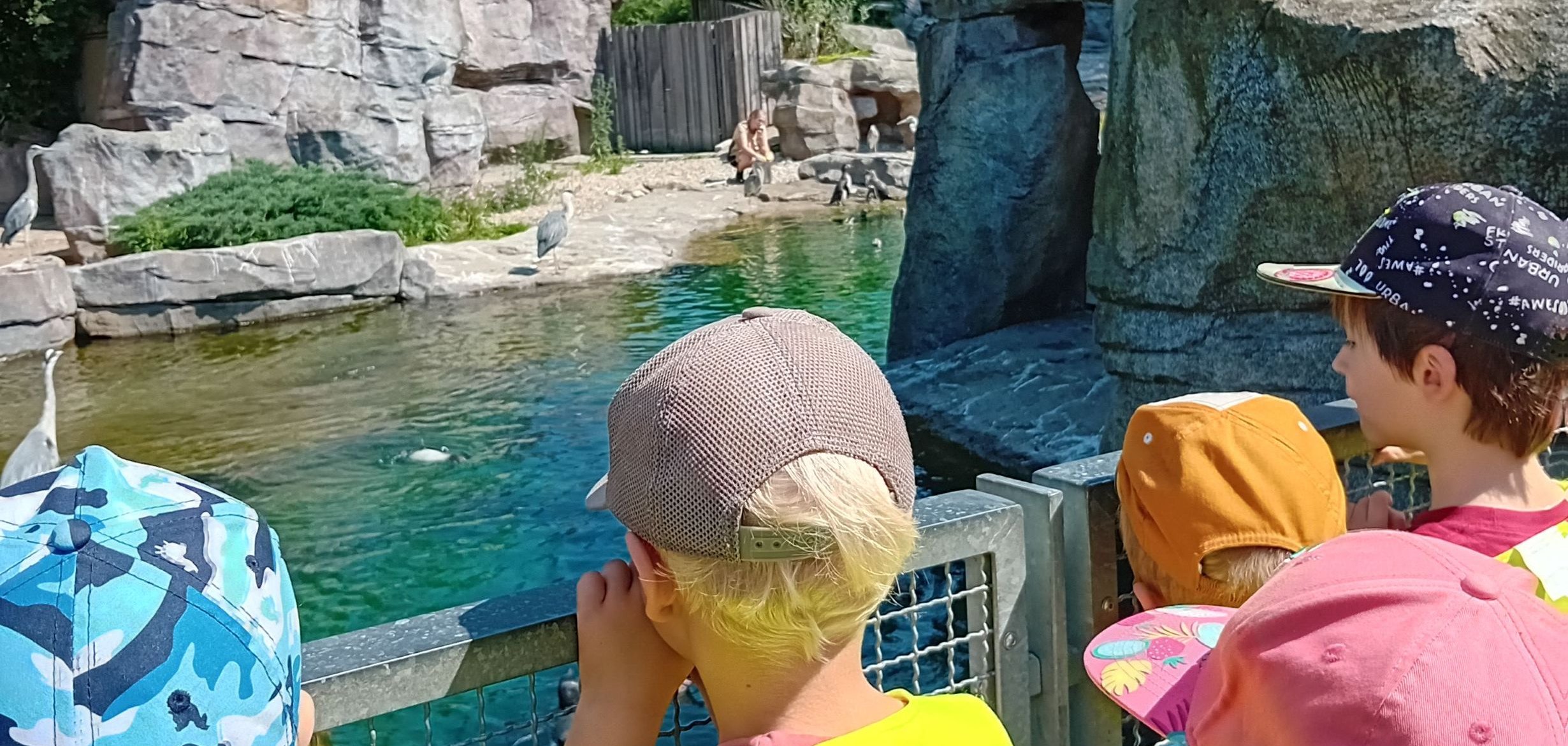 Eine Gruppe Kinder vor einem Gehege.