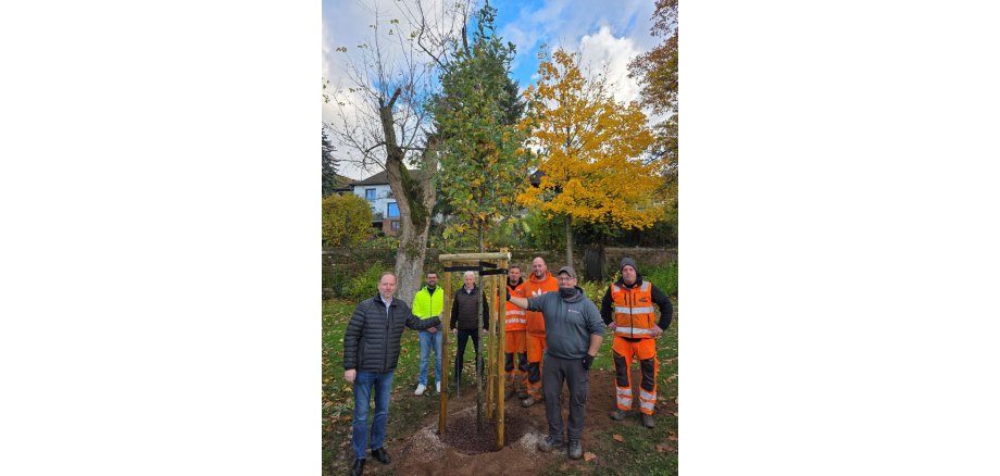 Gedenkbaum zu 70 Jahre Bundeswehr Bürgermeister Christian Litzinger und Mitarbeiter der Stadt Gelnhausen stehen im Stadtgarten an der neu gepflanzten Eiche.