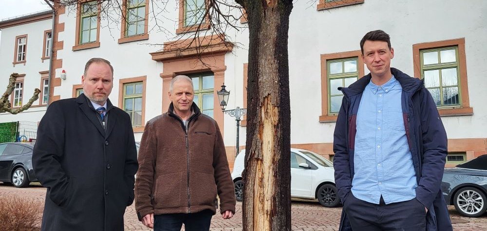 Bürgermeister Christian Litzinger, Umweltbeauftragter Jürgen Koch und Bauamtsleiter Eppo Haas auf dem Obermarkt in Gelnhausen vor der Linde, die gefällt werden soll.