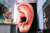 Begehbares Ohr Ansicht der überdimensionalen Ohrmuschel im Museum Gelnhausen