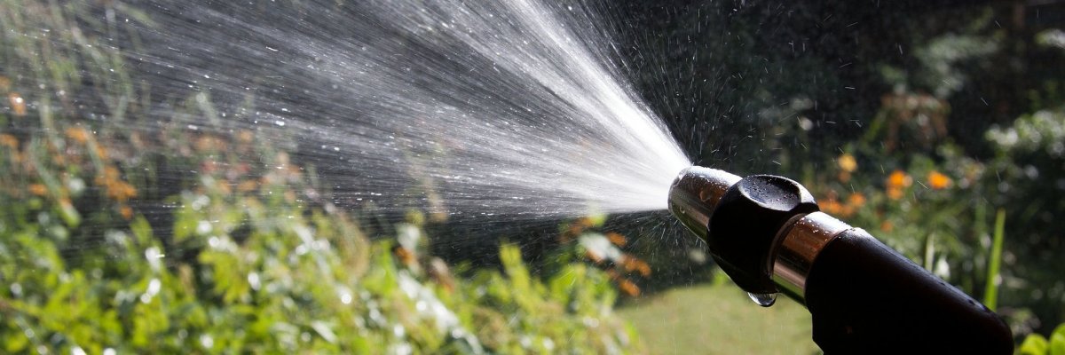 Garten bewässern Das Symbolbild zeigt eine Hand, die eine Gartenspritzdüse hält. Aus ihr ergießt sich Wasser ins Grün des Gartens.