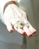 Hochzeit