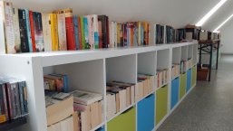 Regal voller Bücher