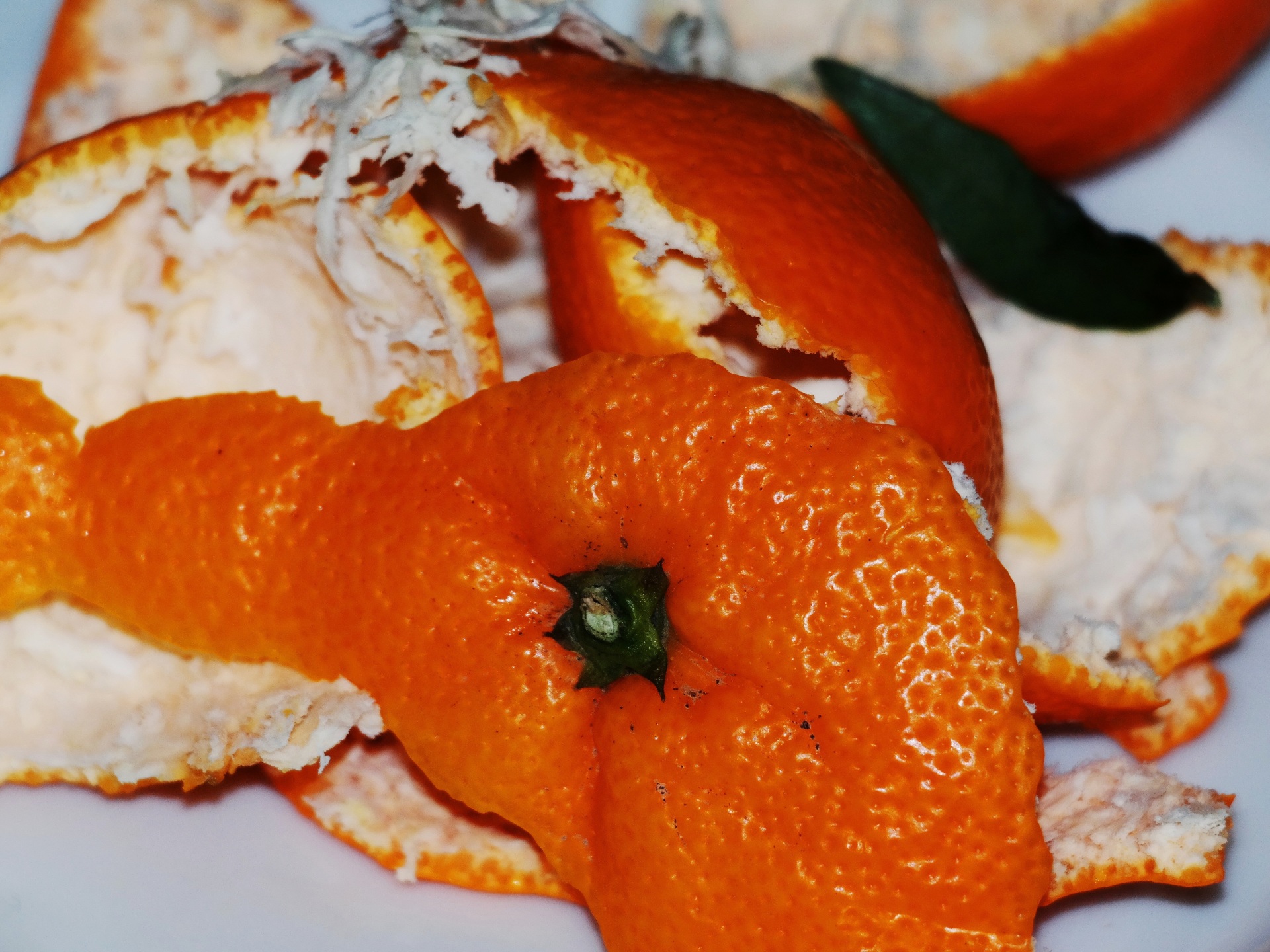 Biomüll Eine Orangenschale - Symbolbild