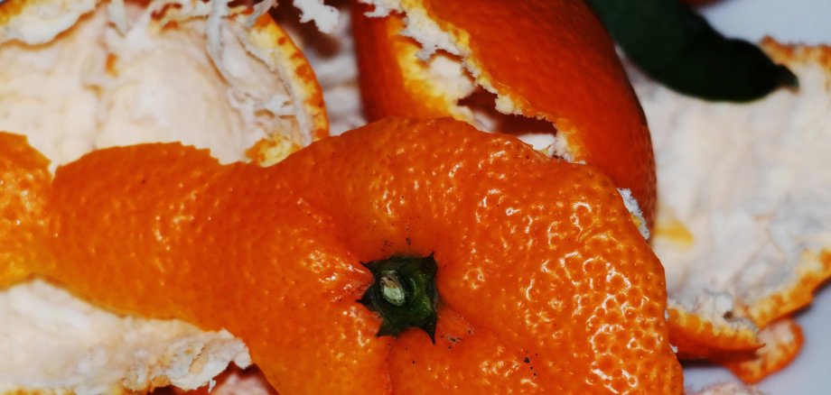 Biomüll Eine Orangenschale - Symbolbild