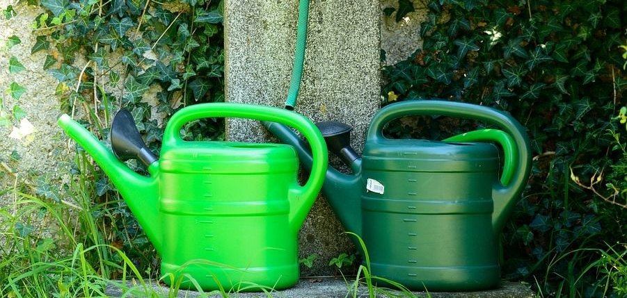 Eine hellgrüne und eine dunkelgrüne Gießkanne mit je 10 Liter Fassungsvermögen stehen an einer Wasserstelle auf einem Friedhof.
