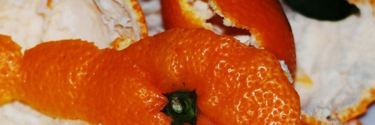 Symbolfoto zeigt die Schale einer Orange ohne Fruchtfleisch.