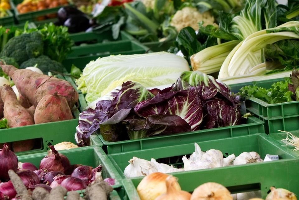 Wochenmarkt Verschiedene Sorten Kohl und Gemüse in grünen Kisten an einem Marktstand. Großaufnahme, kein Hintergrund.