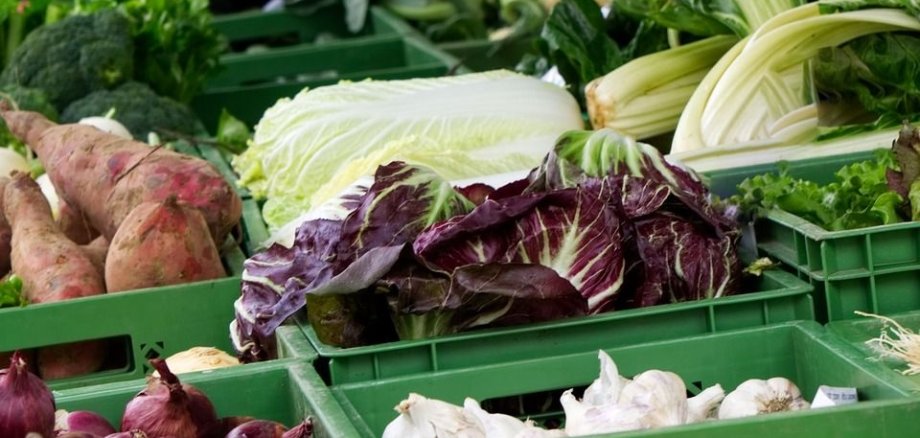 Verschiedene Sorten Kohl und Gemüse in grünen Kisten an einem Marktstand. Großaufnahme, kein Hintergrund.