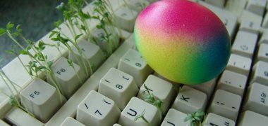 Es grünt Man sieht ein buntes Osterei, das auf einer Tastatur liegt,aus der Kresse wächst.