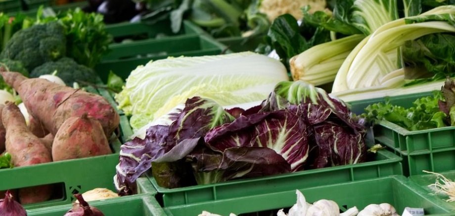 Verschiedene Sorten Kohl und Gemüse in grünen Kisten an einem Marktstand. Großaufnahme, kein Hintergrund.
